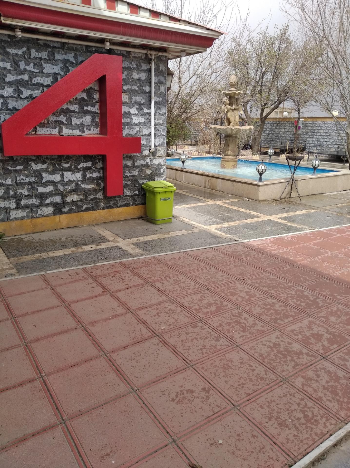 عکس شقایق ۴