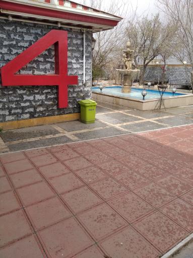 عکس شقایق ۴