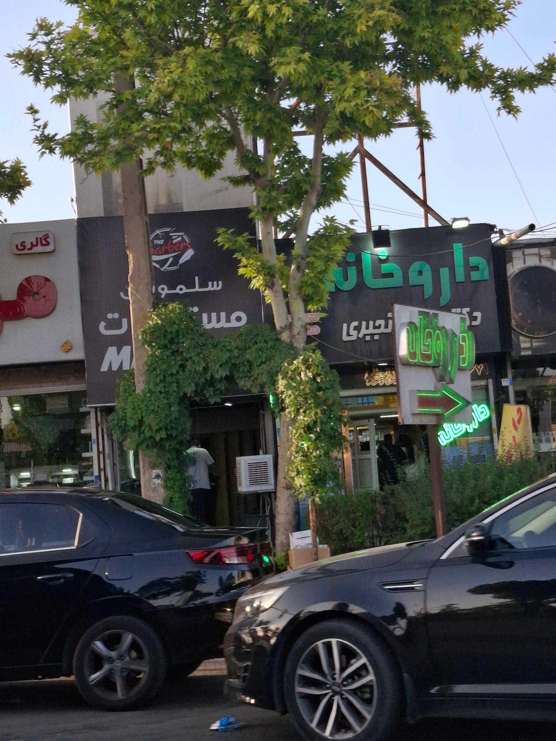 عکس سلمونی مسترکات