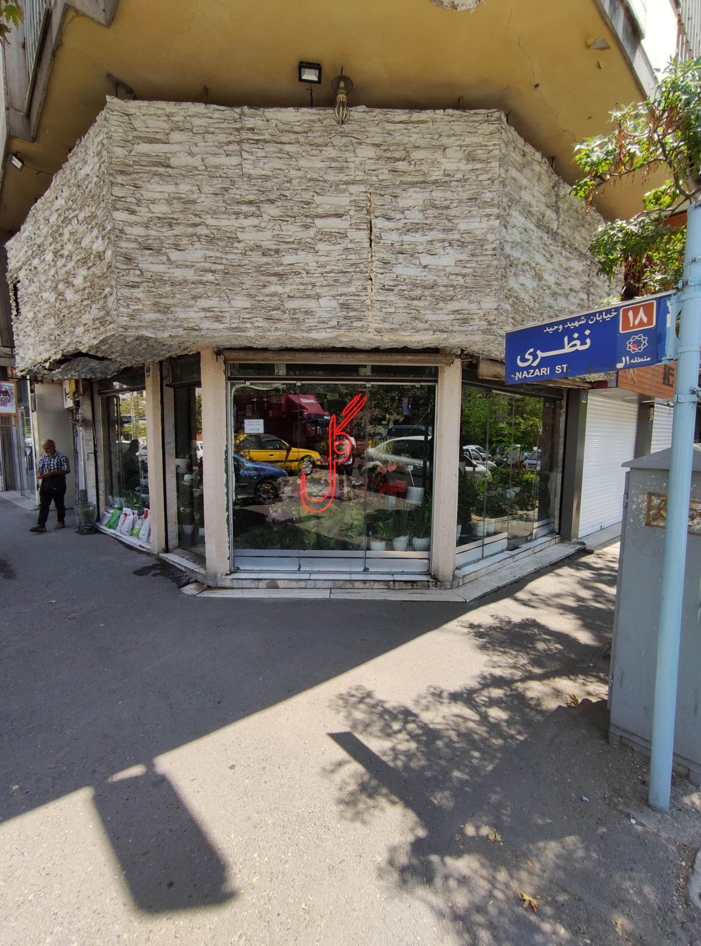 عکس گل شهرزاد