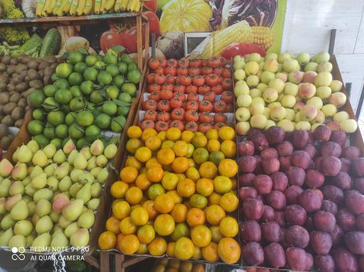 عکس میوه فروشی چهار فصل سیب سبز 
