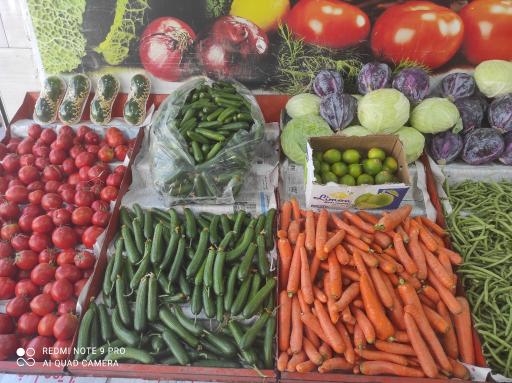 عکس میوه فروشی چهار فصل سیب سبز 