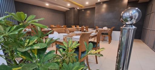 عکس جگر و کباب تینگود باربیکیو