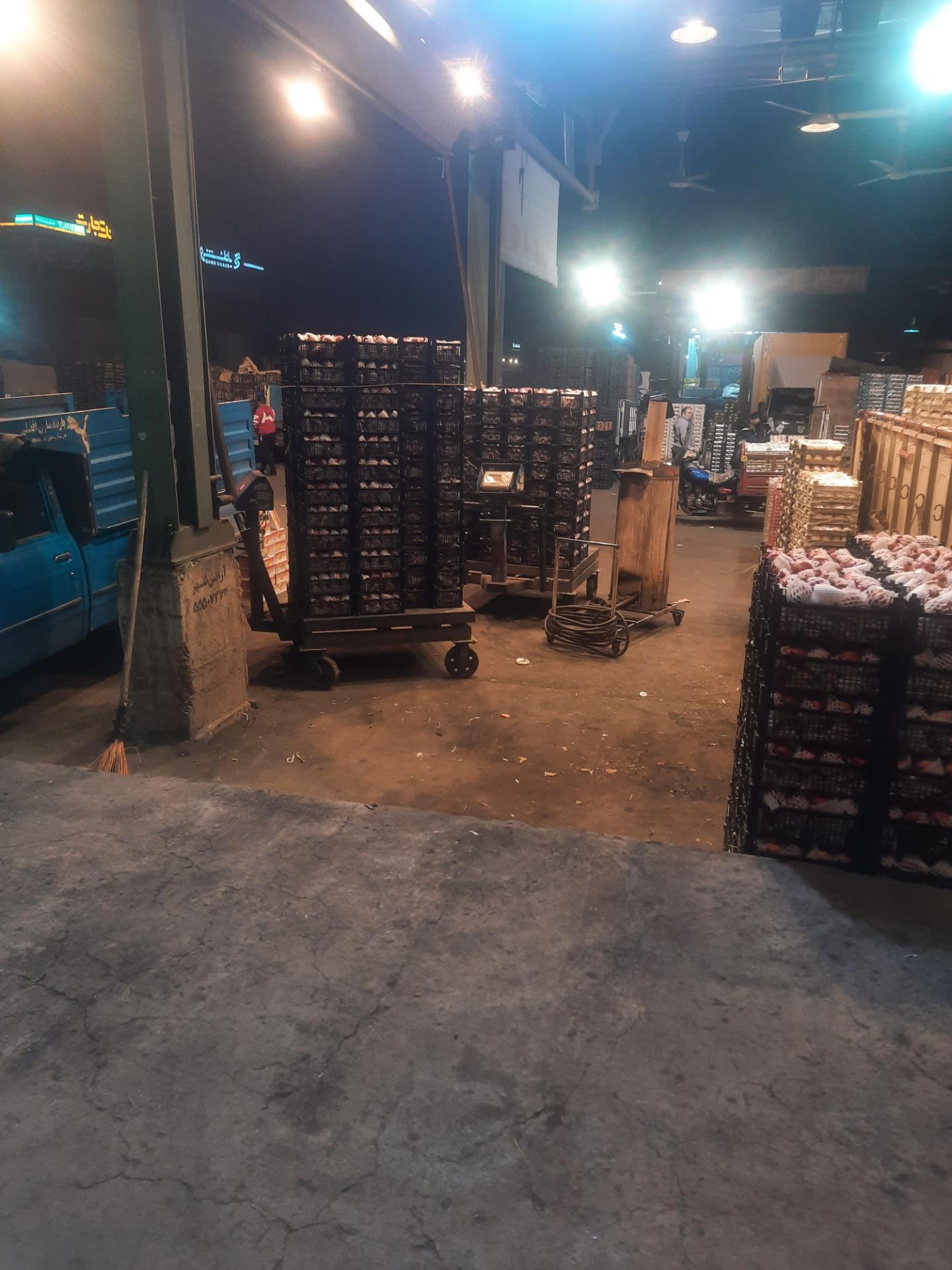 عکس حق العمل کاری رضا اصلانی