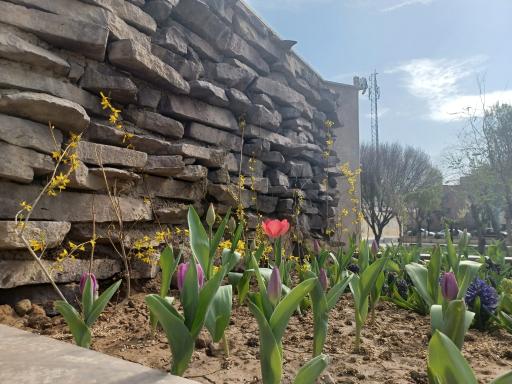 عکس پارک شهرداری