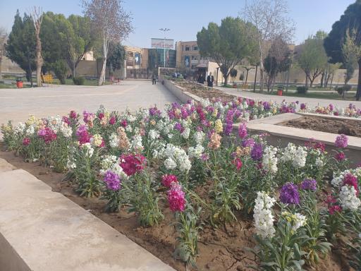 عکس پارک شهرداری