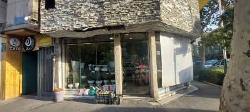 عکس گل شهرزاد