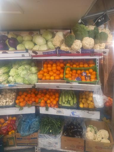 عکس میوه سرای حضرتی