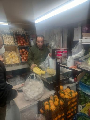 عکس میوه سرای حضرتی