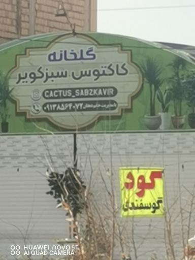 گلخانه کاکتوس سبز کویر