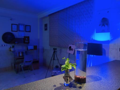 عکس مؤسسه هنرآفرینان مهتاب زنده رود «آموزشگاه هیمو»