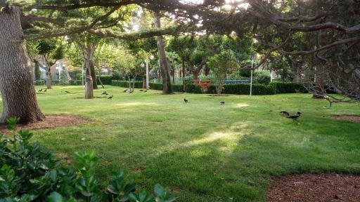 عکس باشگاه بانک مرکزی