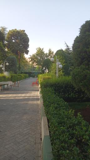 عکس باشگاه بانک مرکزی