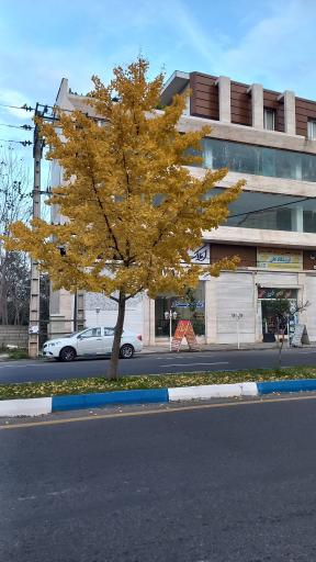 عکس مشاور املاک دیدار