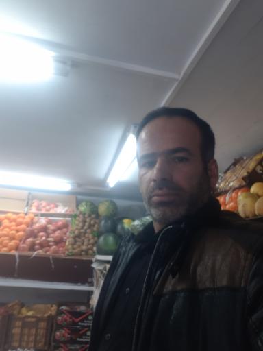 عکس میوه سرای حضرتی