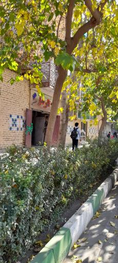 عکس ترمز سازی مرتضی