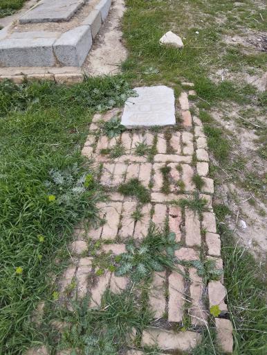 عکس زاهدشیر