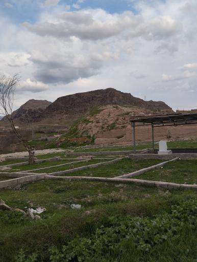 عکس زاهدشیر