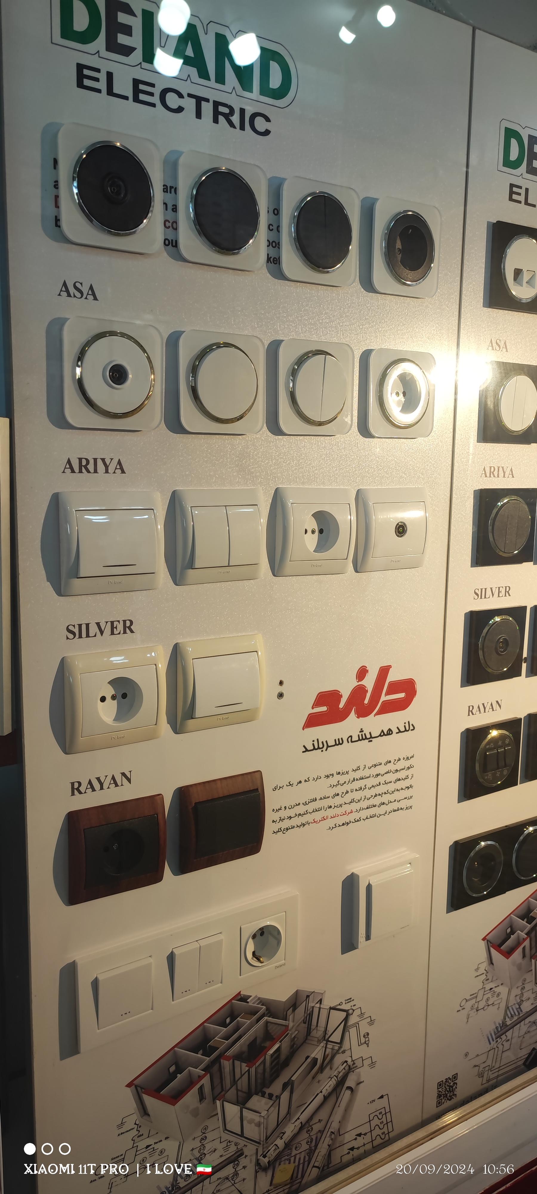 عکس الکتریکی دلند