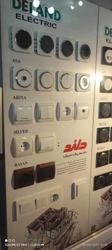 عکس الکتریکی دلند