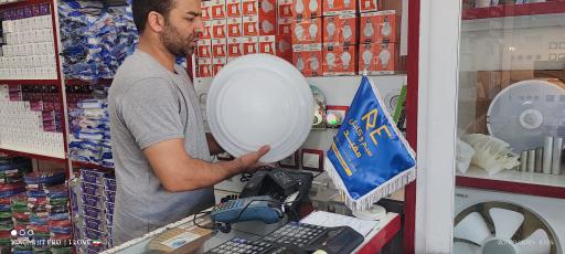 عکس الکتریکی دلند