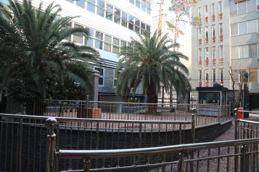 عکس سازمان سینمایی سوره