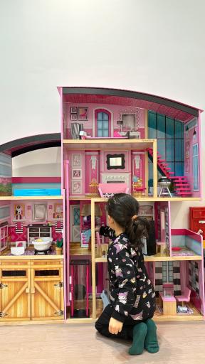 عکس خانه بازی مینیک