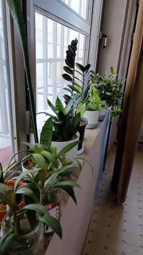 عکس گالری هنرهای تجسمی سایه SAYEH ART GALLERY