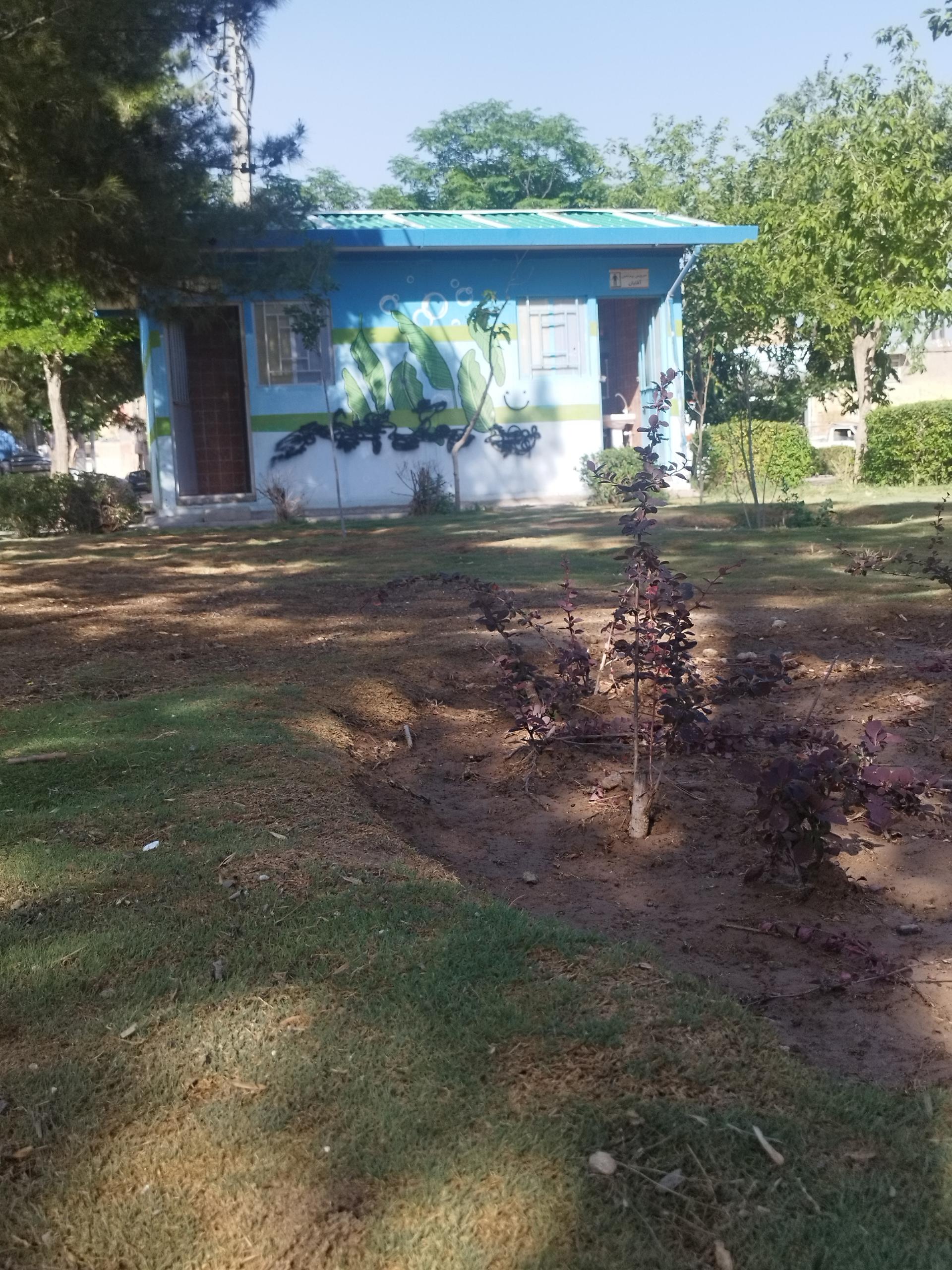 عکس سرویس بهداشتی 