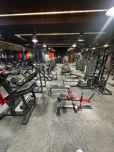 عکس باشگاه بدنسازی بانوان آلفا