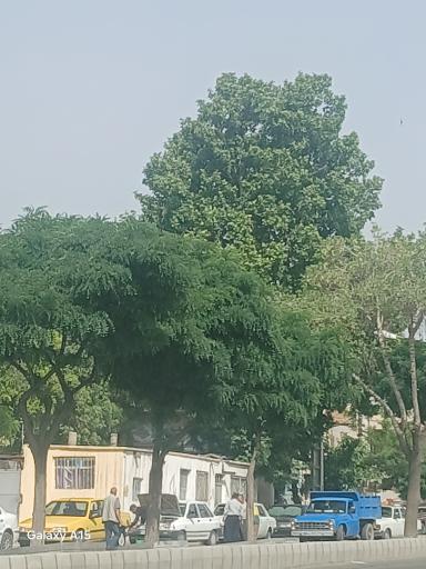 عکس پارک سوم خرداد