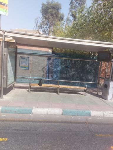 عکس شیرودی