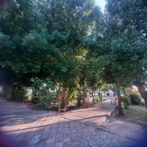 عکس پارک پامچال