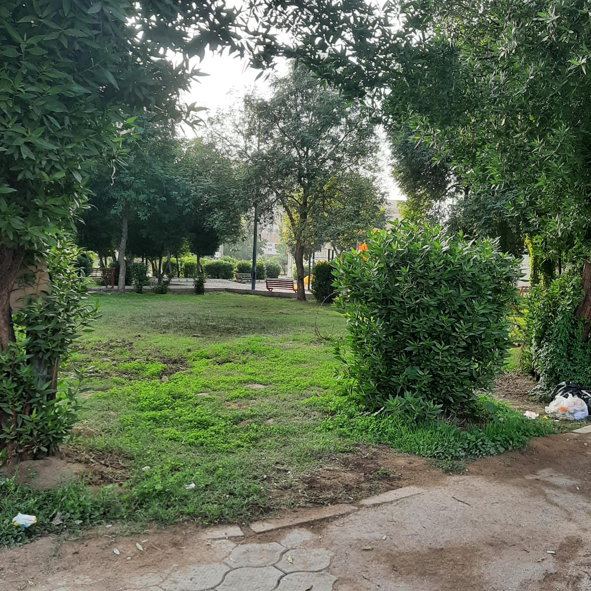 عکس پارک پامچال