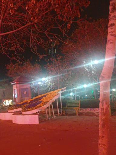 عکس بوستان امت