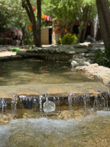 عکس باغ هزارچشمه