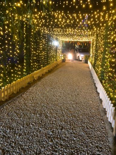 عکس باغ هزارچشمه