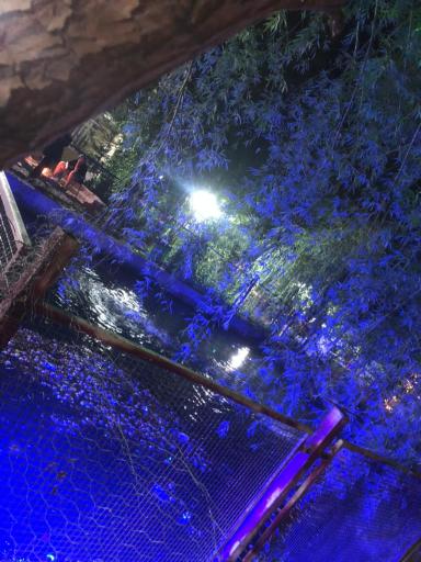 عکس باغ هزارچشمه