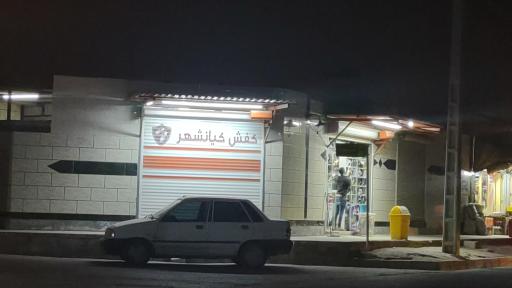 عکس کفش کیانشهر