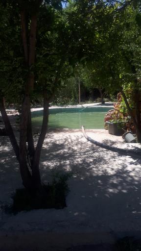 عکس باغ هزارچشمه