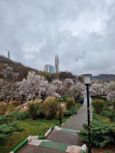 عکس پارک ترافیک کودک 