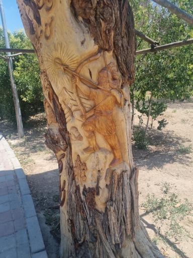 عکس بوستان میعاد