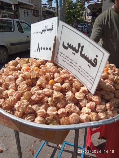 عکس فروشگاه میوه های گرمسیری