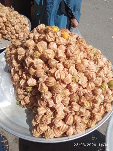 عکس فروشگاه میوه های گرمسیری