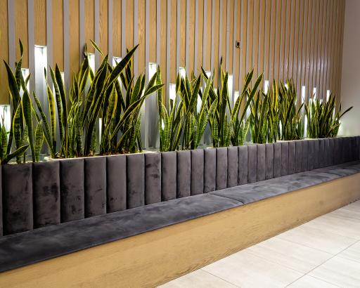 عکس کافه پاپیلون (بانوان)