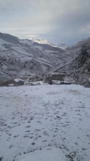 عکس کشکک
