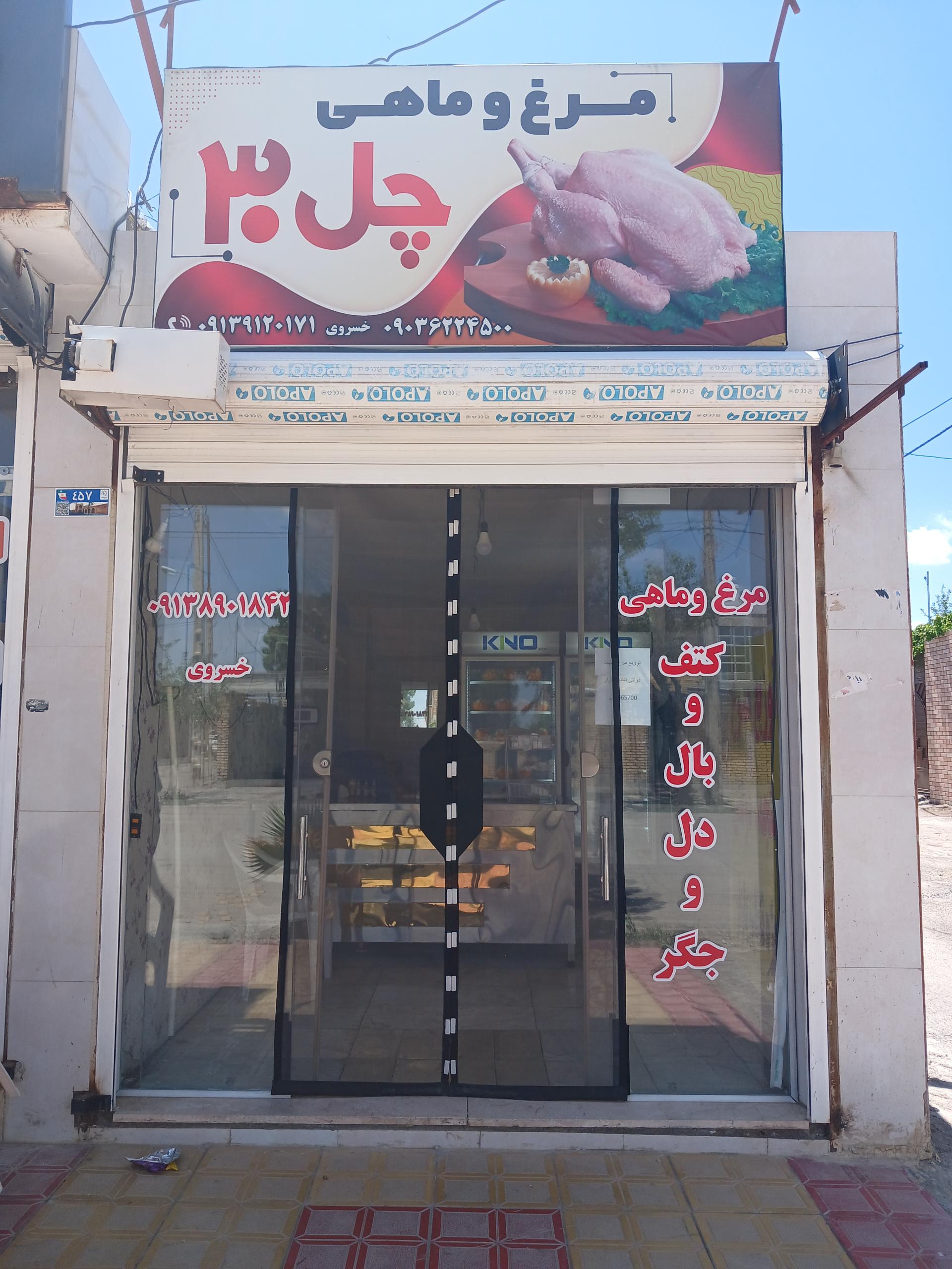 عکس مرغ و ماهی چل ۳۰