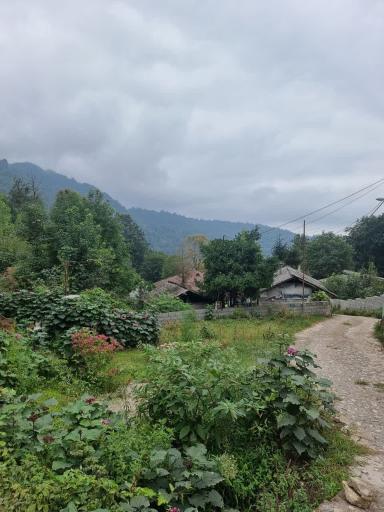 عکس دراسرا