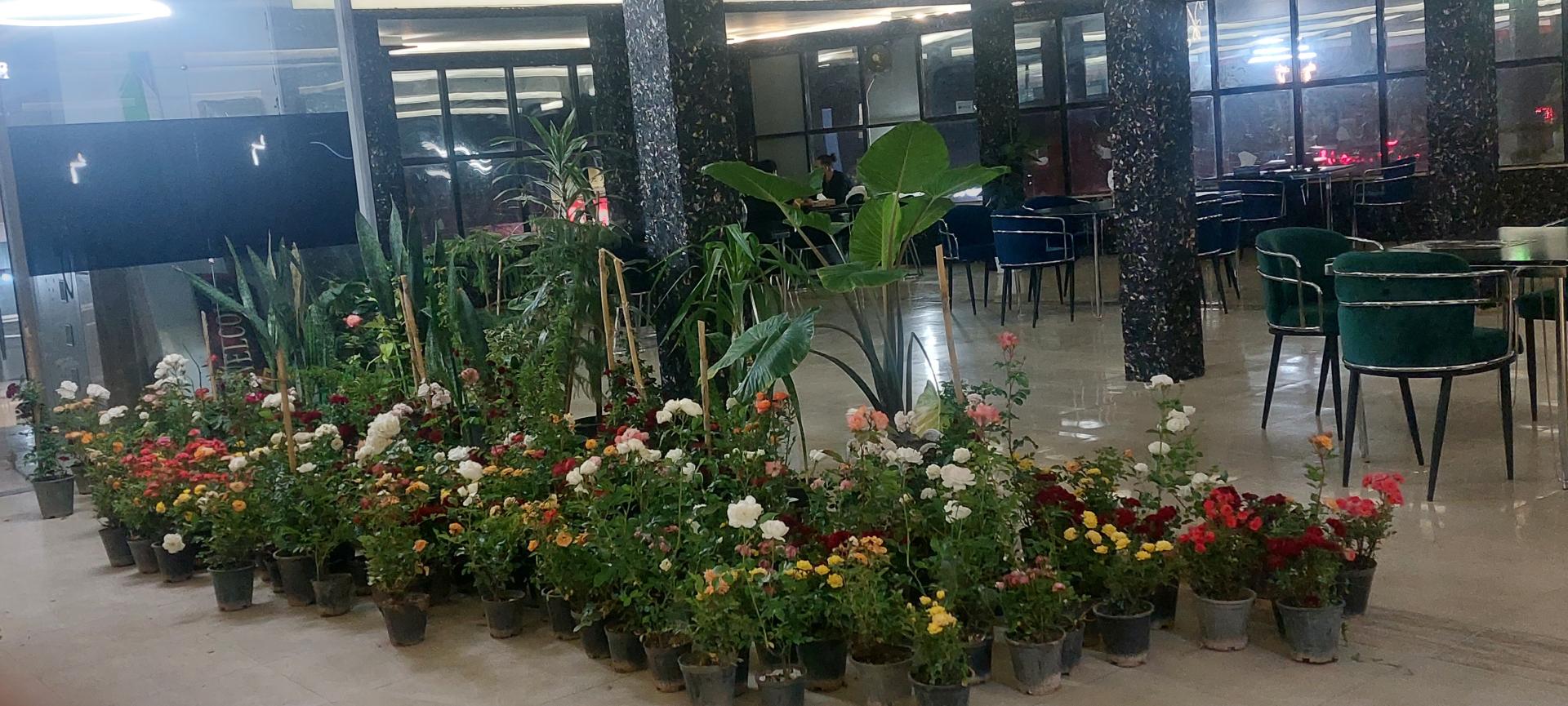 عکس کافه رستوران سنترال