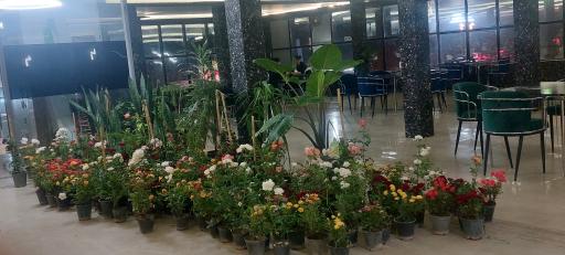 عکس کافه رستوران سنترال